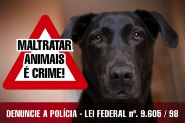 CPI dos maus-tratos aos animais vai convocar o Ibama e a Semmam para depor no ES