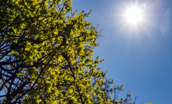 Solstício de verão: entenda por que este sábado (21) é o dia mais longo do ano