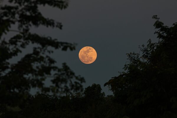 Primeira Lua cheia do ano coincide com espetáculo astronômico de Marte