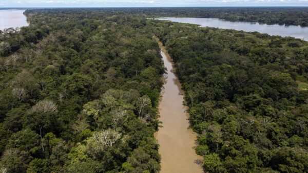 De desmatamento a aquecimento: como o Brasil impacta o clima global